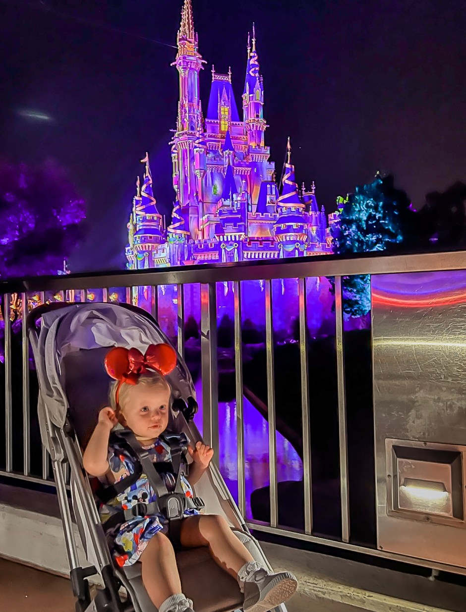 Disney world with a toddler tips