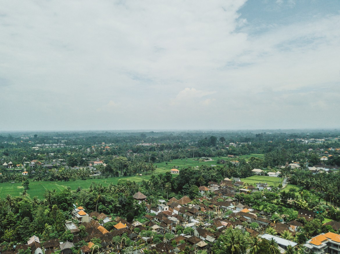 Ubud Aerial Drone Photo